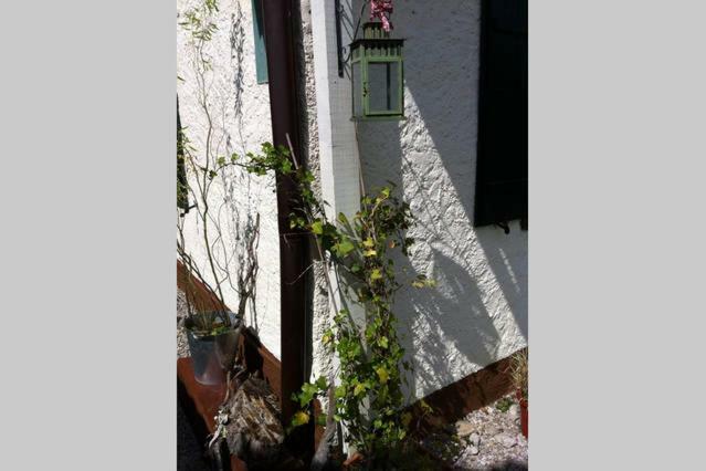 Haus Tulpe Appartement Strobl Buitenkant foto
