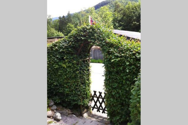 Haus Tulpe Appartement Strobl Buitenkant foto